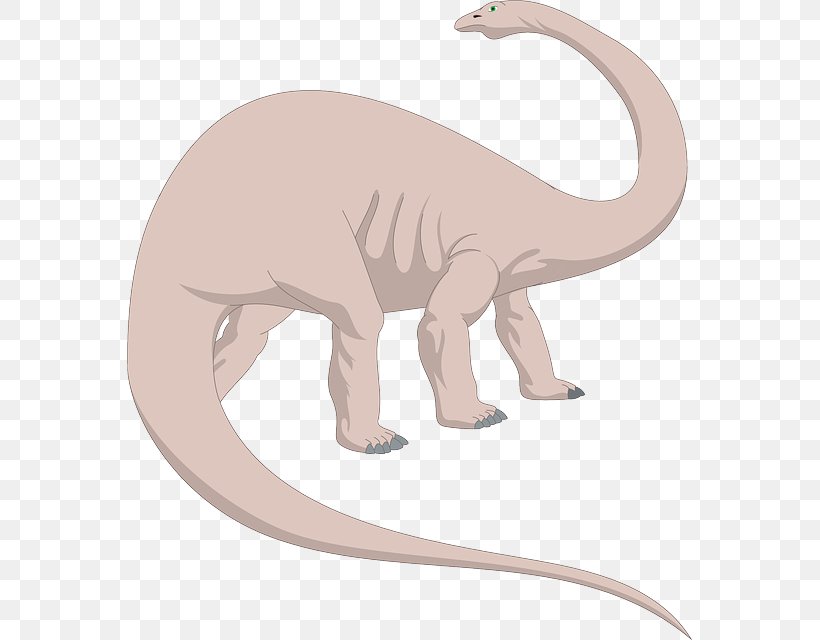 Brachiosaurus Brontosaurus Apatosaurus Clip Art, PNG, 565x640px, Brachiosaurus, Alamosaurus, Animal Figure, Apatosaurus, Brontosaurus Download Free