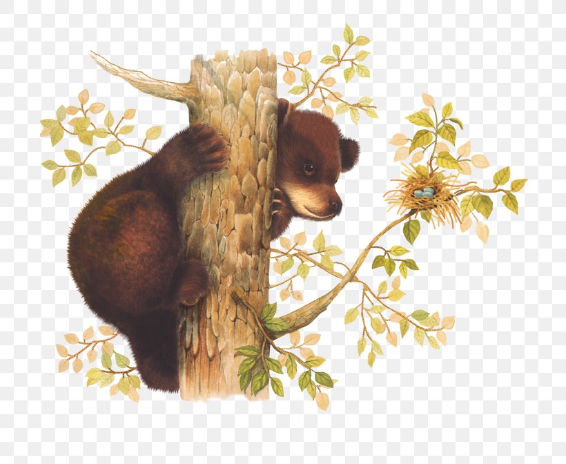 Brown Bear PaintShop Pro Mammal, PNG, 774x672px, Bear, Brown Bear, Cattle, Cattle Like Mammal, Fauna Download Free