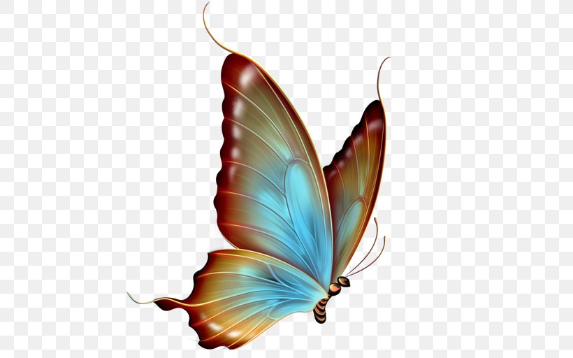 Butterfly YouTube Clip Art, PNG, 512x512px, Butterfly, Brush Footed Butterfly, Butterflies And Moths, Cartoon, Color Download Free