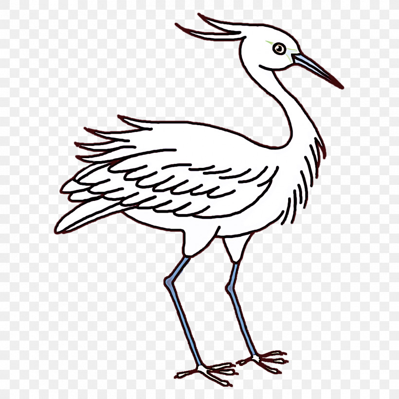 Crane Stork Birds Pelecaniformes White Stork, PNG, 1400x1400px, Crane, Beak, Birds, Blue Jay, European Robin Download Free