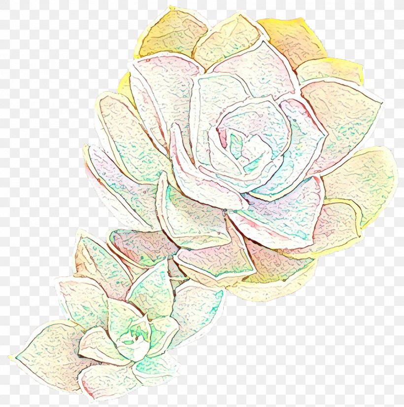 Garden Roses Cabbage Rose Floral Design Drawing Illustration, PNG, 1969x1982px, Garden Roses, Botany, Cabbage Rose, Camellia, Cut Flowers Download Free