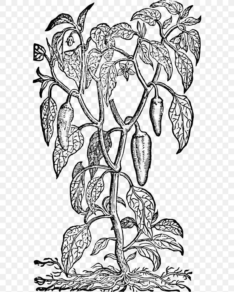 Middle Temple Library Floral Design Monochrome Visual Arts, PNG, 590x1023px, Floral Design, Art, Bell Pepper, Black And White, Branch Download Free