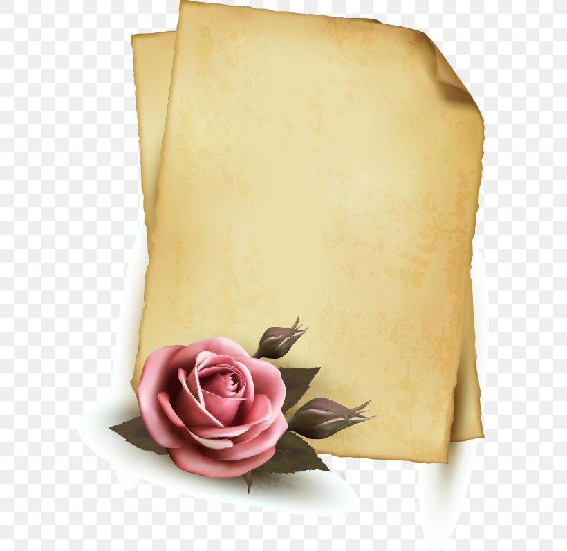 Paper Parchment, PNG, 595x797px, Paper, Cardboard, Clipboard, Flower, Garden Roses Download Free