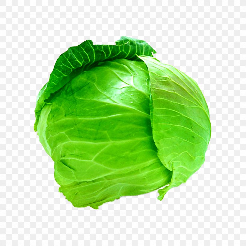 Savoy Cabbage Cauliflower Leaf Vegetable, PNG, 1000x1000px, Cabbage, Broccoli, Brussels Sprout, Cauliflower, Coleslaw Download Free