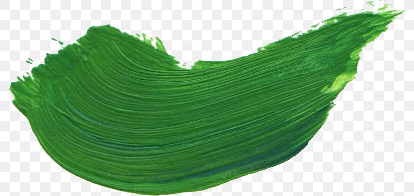 Green Paintbrush, PNG, 792x388px, Green, Banana Leaf, Blue, Brush, Color Download Free