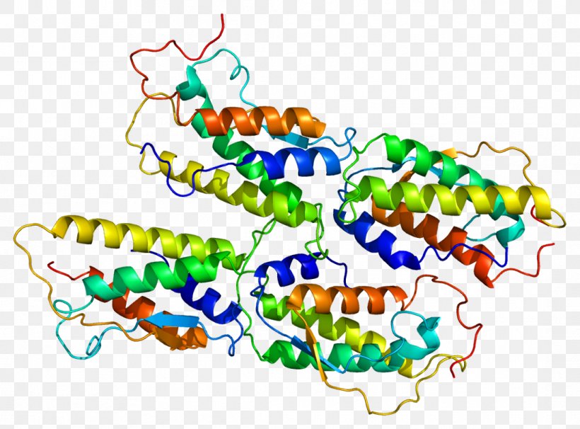 Stem Cell Factor CD117 Haematopoiesis Cytokine Growth Factor, PNG, 1090x806px, Stem Cell Factor, Area, Art, Body Jewelry, Cell Download Free