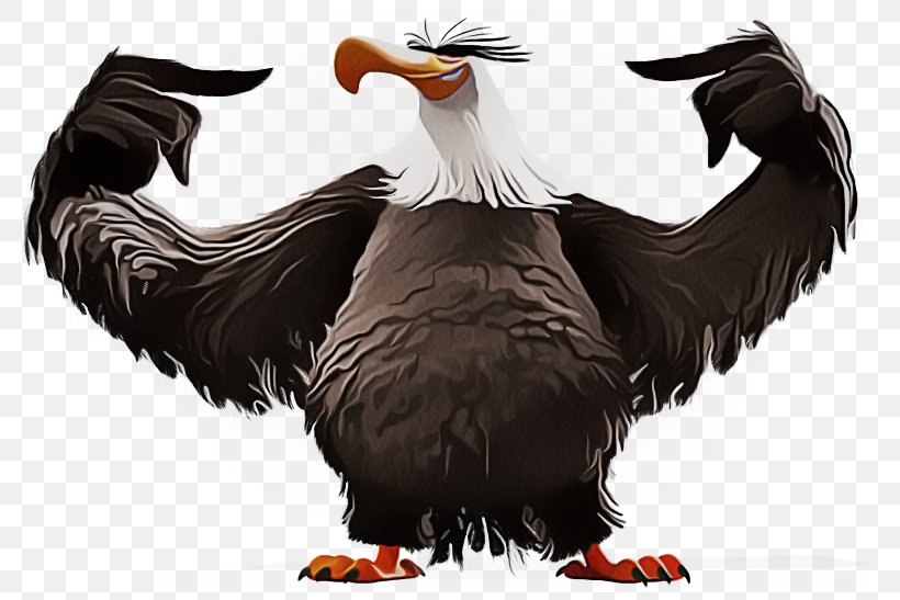Bird Vulture Bird Of Prey Beak Wing, PNG, 785x547px, Bird, Andean Condor, Beak, Bird Of Prey, California Condor Download Free