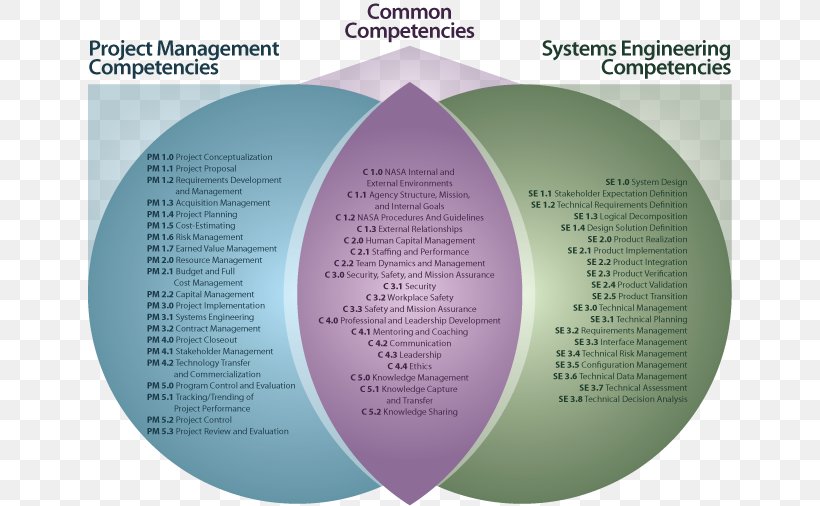Competence Project Management Program Management Project Manager, PNG, 670x506px, Competence, Brand, Brochure, Competencybased Management, Core Competency Download Free