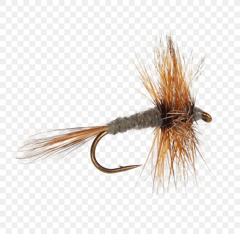 Fly Fishing Mayfly Adams Fly Tying Artificial Fly, PNG, 800x800px, Fly Fishing, Adams, Artificial Fly, Fishing, Fishing Bait Download Free