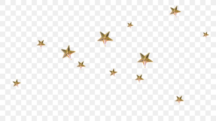 Star Photography Clip Art, PNG, 1024x575px, Star, Body Jewelry, Drawing, Gold, Information Download Free