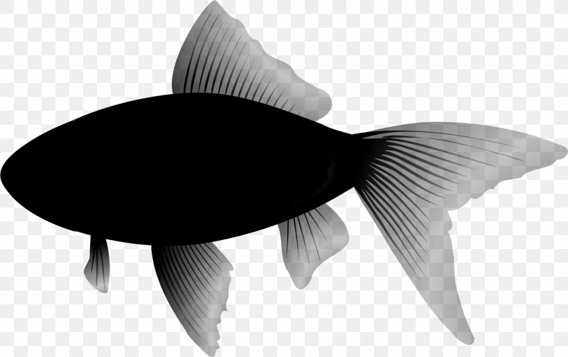 Clip Art Bluefish Image, PNG, 1973x1243px, Bluefish, Blackandwhite, Decoupage, Fin, Fish Download Free