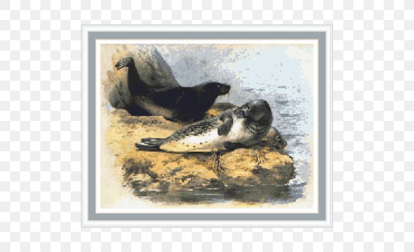 Duck Harbor Seal Painting Fauna Pinniped, PNG, 500x500px, Duck, Beak, Bird, Ducks Geese And Swans, Fauna Download Free