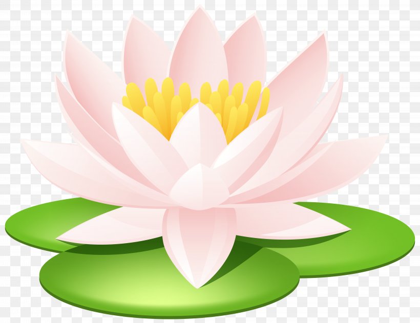 Nelumbo Nucifera Egyptian Lotus Nymphaea Lotus Lotus Seed Sacred Lotus Tattoo, PNG, 8000x6164px, Nelumbo Nucifera, Aquatic Plant, Aquatic Plants, Flower, Flowering Plant Download Free
