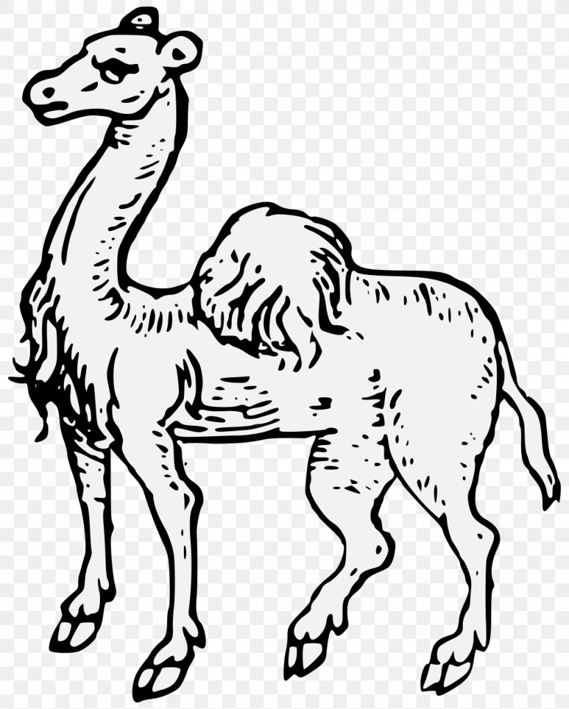 Camel Image Clip Art Free Content, PNG, 1024x1276px, Camel, Adaptation, Animal, Animal Figure, Arabian Camel Download Free