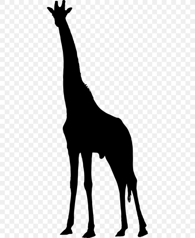 Clip Art Vector Graphics Silhouette Drawing, PNG, 500x1000px, Silhouette, Black, Blackandwhite, Drawing, Giraffe Download Free