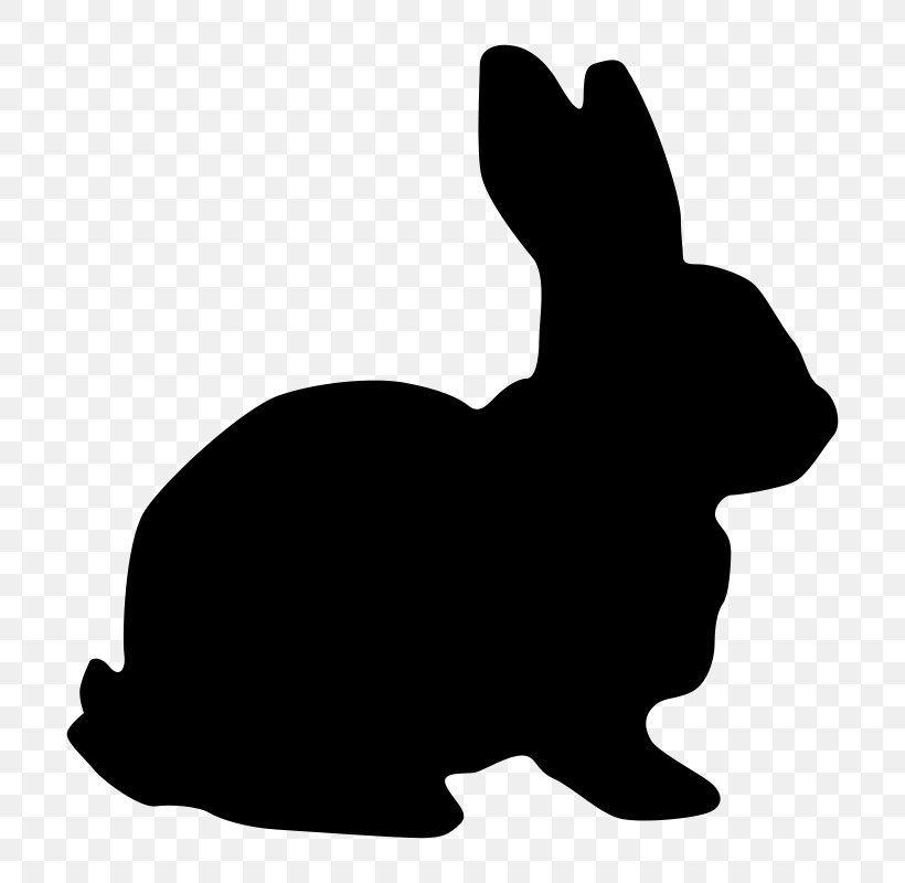 White Rabbit Hare Clip Art, PNG, 800x800px, White Rabbit, Black, Black And White, Carnivoran, Dog Like Mammal Download Free