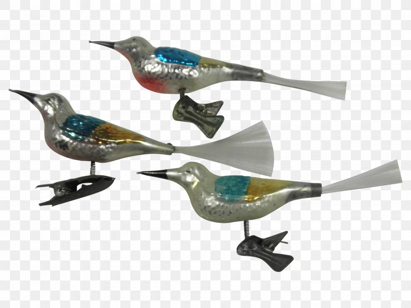 Beak Hummingbird Fauna Feather, PNG, 3968x2976px, Beak, Bird, Fauna, Feather, Hummingbird Download Free