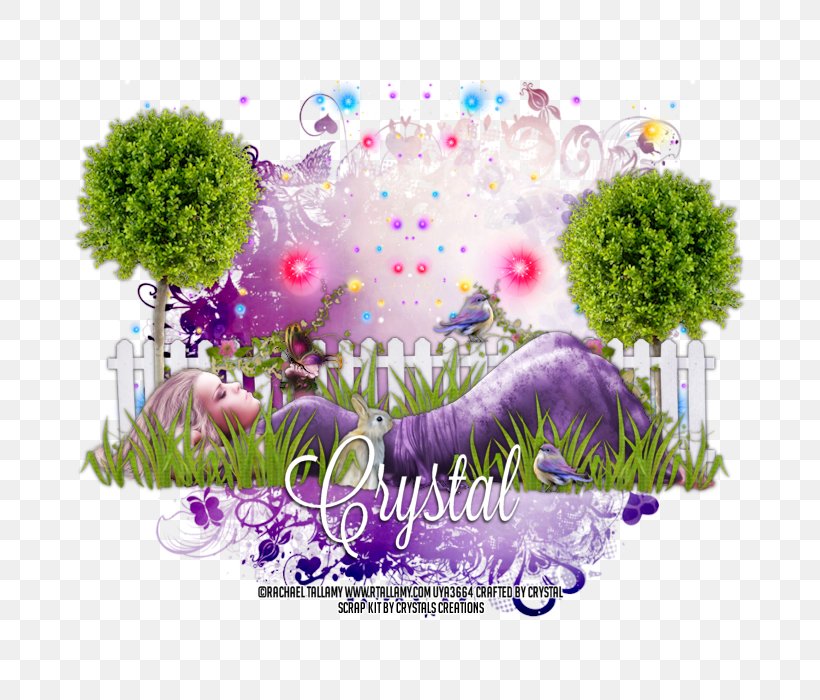 Box Violet Plant Stem Desktop Wallpaper, PNG, 700x700px, Box, Computer, Flora, Flower, Grass Download Free