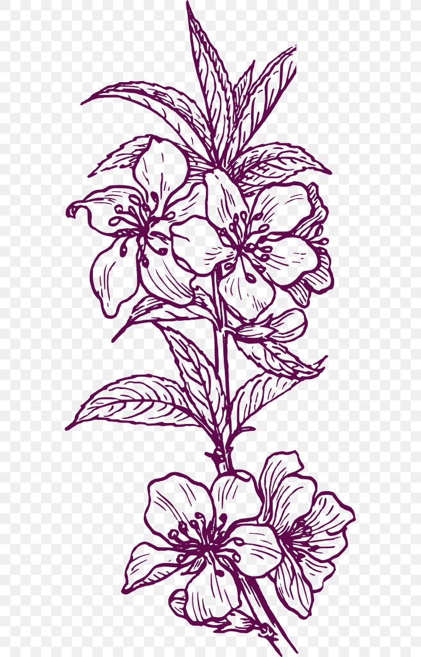 Floral Design Plant Drawing Clip Art, PNG, 640x1280px, Floral Design, Almond, Arecaceae, Art, Artwork Download Free