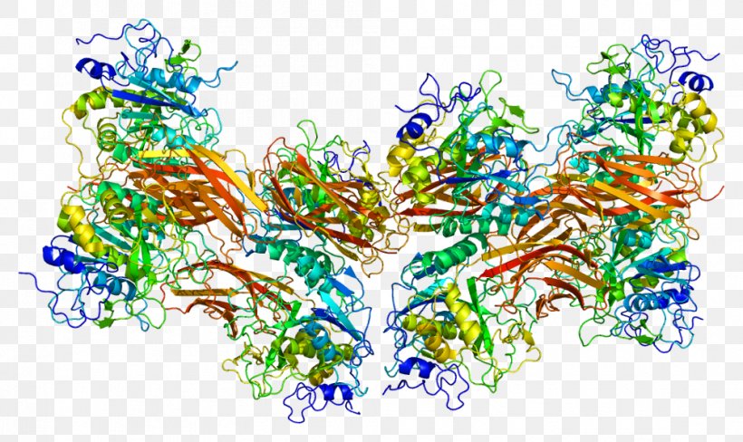 Introduction To Protein Structure Furin Enzyme Subtilisin, PNG, 996x593px, Watercolor, Cartoon, Flower, Frame, Heart Download Free