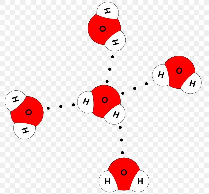 Molecule Water Molecular Model Hydrogen Bond Chemical Bond, PNG, 1600x1491px, Molecule, Area, Atom, Biology, Chemical Bond Download Free