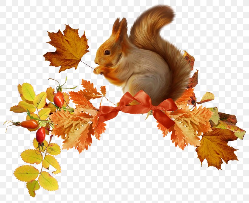 Squirrel Chipmunk Autumn Rodent, PNG, 800x668px, Squirrel, Autumn, Branch, Cartoon, Chipmunk Download Free