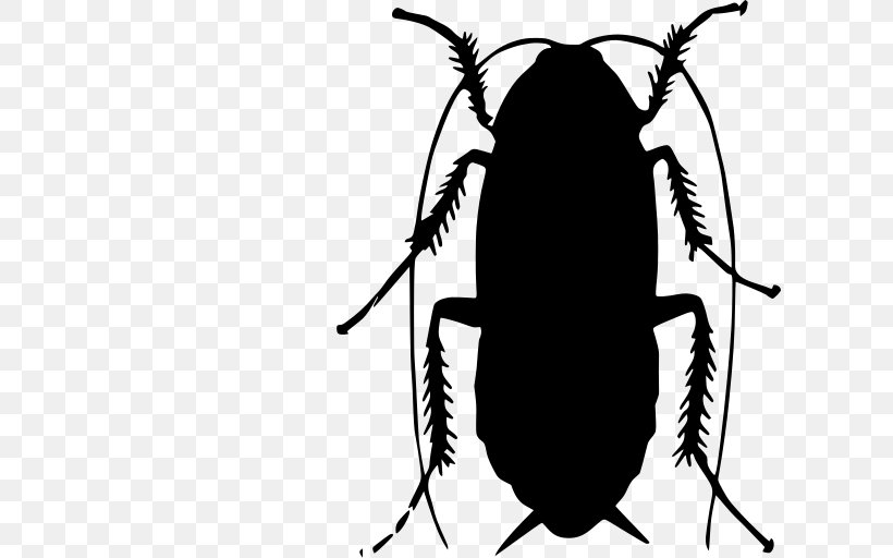 Cockroach Cartoon, PNG, 615x512px, Cockroach, American Cockroach, Beetle, Blattella, Blattella Asahinai Download Free