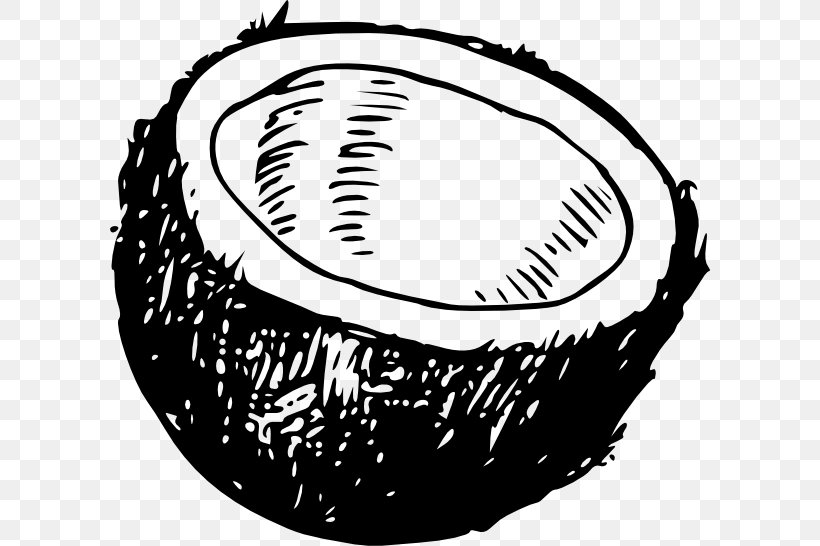 Coconut Water Clip Art, PNG, 600x546px, Coconut, Artwork, Baseball Equipment, Black And White, Coconut Water Download Free