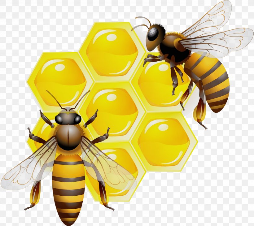 Honey Background, PNG, 2999x2671px, Watercolor, Bee, Beehive, Blowflies, Bumblebee Download Free