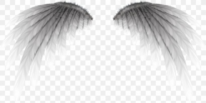 Angel Demon Devil Fairy, PNG, 900x449px, Angel, Art, Black, Black And White, Close Up Download Free