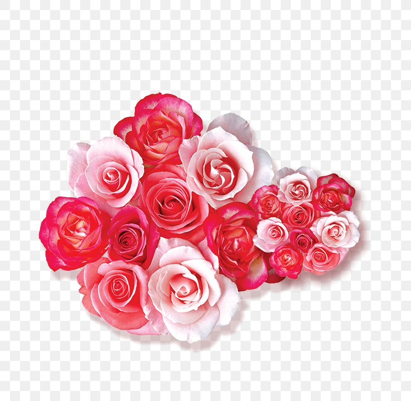 Beach Rose Flower Still Life: Pink Roses Garden Roses Image, PNG, 800x800px, Beach Rose, Artificial Flower, Cut Flowers, Floral Design, Floristry Download Free