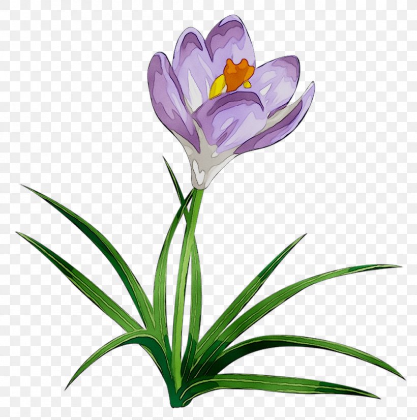 Belenergo Crocus Kilowatt Hour Energy Clip Art, PNG, 1044x1052px, Crocus, Botany, Cretan Crocus, Cut Flowers, Electrical Energy Download Free