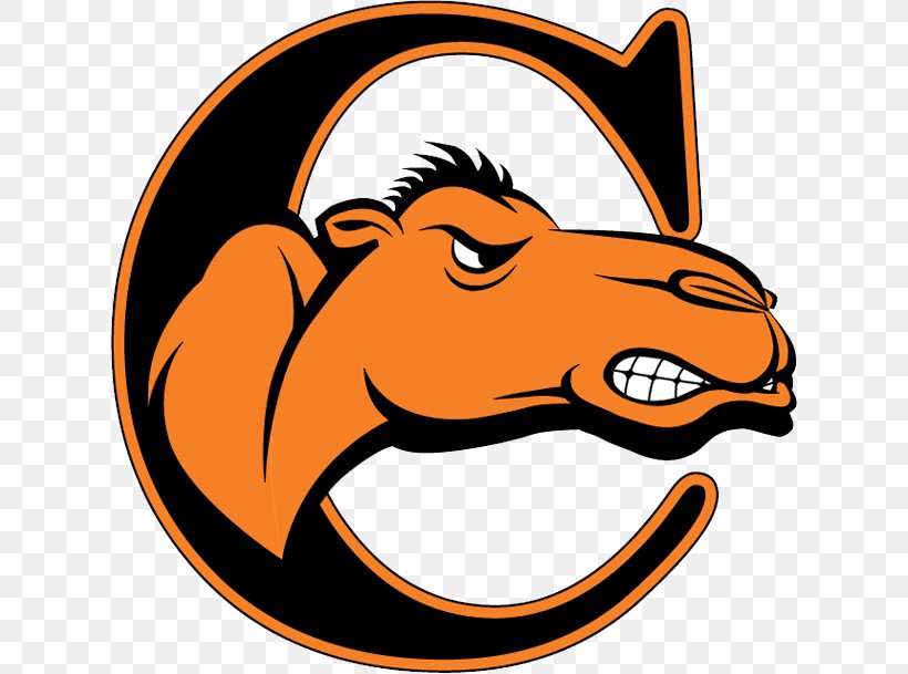 Campbell University Campbell Fighting Camels Men's Basketball Campbell Fighting Camels Women's Basketball Campbell Fighting Camels Football Division I (NCAA), PNG, 620x609px, Campbell University, Area, Artwork, Basketball, Big South Conference Download Free