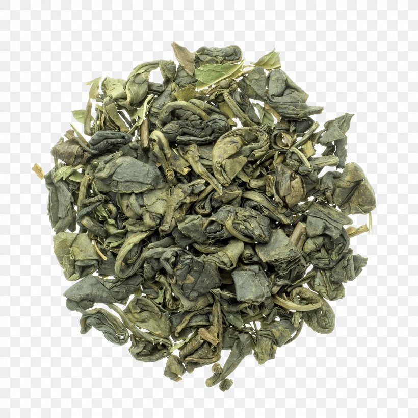 Green Tea Hyson Tieguanyin Nilgiri Tea, PNG, 1600x1600px, Green Tea, Assam Tea, Bai Mudan, Bancha, Biluochun Download Free