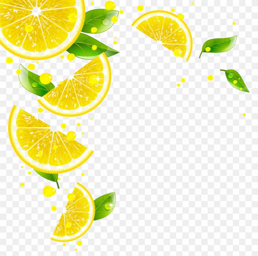 Juice Lemon Key Lime Grapefruit Tangerine, PNG, 1024x1018px, Juice, Auglis, Citric Acid, Citrus, Drink Download Free