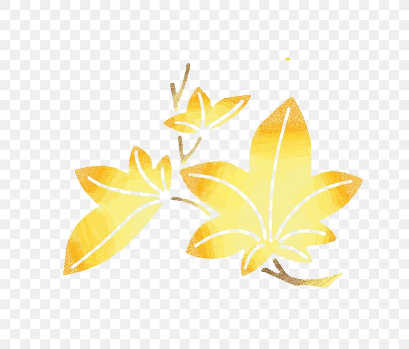 Maple Leaf Euclidean Vector Gold, PNG, 700x700px, Maple Leaf, Autumn, Canadian Gold Maple Leaf, Flower, Gold Download Free