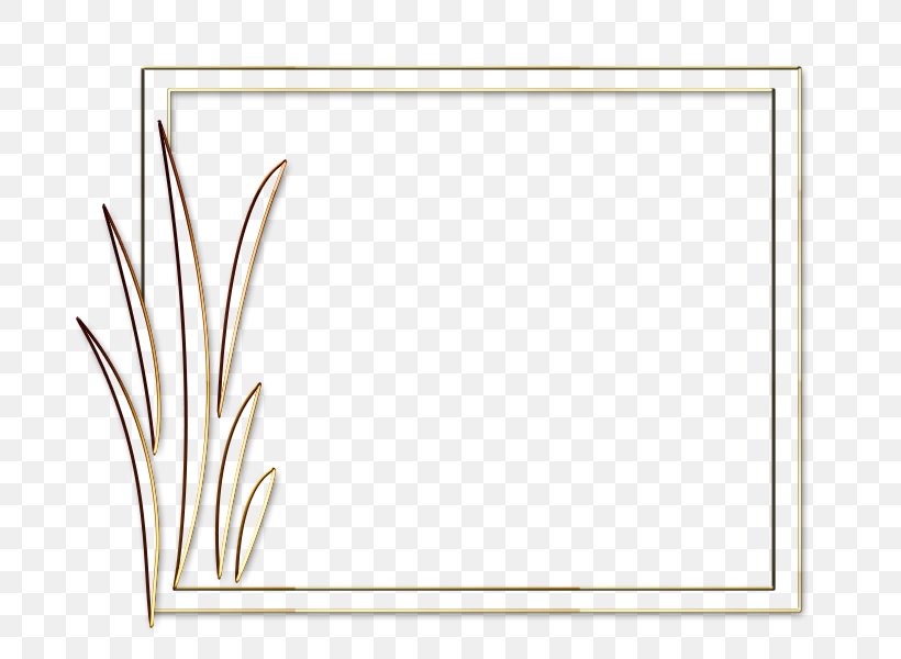 Paper Line Picture Frames Angle Font, PNG, 800x600px, Paper, Area, Grass, Material, Picture Frame Download Free
