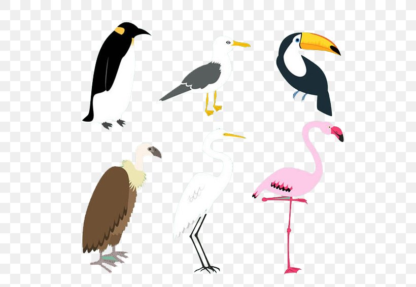 Bird Penguin Little Egret, PNG, 600x566px, Bird, Art, Beak, Cartoon, Crane Like Bird Download Free