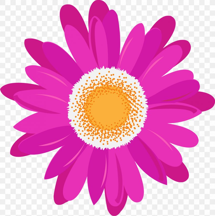 Daisy Family Magenta Pink Purple Violet, PNG, 1193x1200px, Daisy Family, Chrysanthemum, Chrysanths, Closeup, Common Daisy Download Free