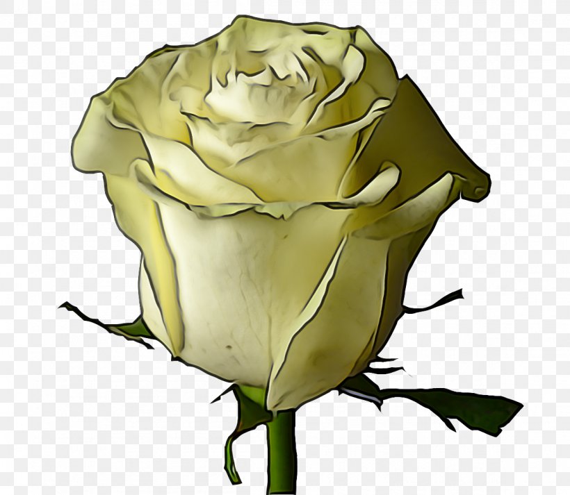 Garden Roses, PNG, 1150x1000px, Garden Roses, Floribunda, Flower, Hybrid Tea Rose, Petal Download Free