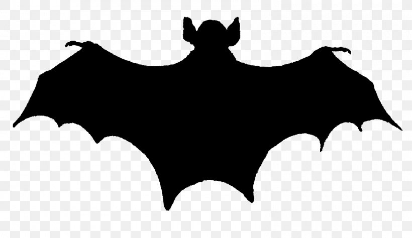 Bat Silhouette Clip Art, PNG, 1600x925px, Bat, Black, Black And White, Drawing, Mammal Download Free