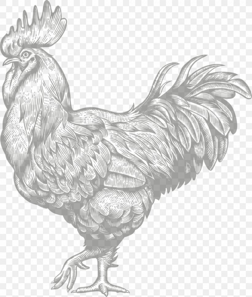 Chicken Rooster Illustration Vector Graphics Restaurant, PNG, 1000x1177px, Chicken, Art, Beak, Bird, Black And White Download Free
