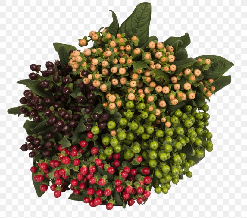 Flower Food Berries Fruit Vegetable, PNG, 1020x900px, Flower, Berries, Food, Fruit, Import Download Free