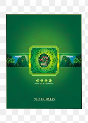 Green Tea Packaging - Green Tea Packaging And Labeling Luan Melon Seed Tea Box PNG