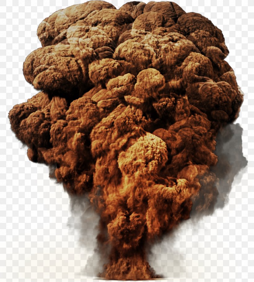 Mushroom Cloud Icon, PNG, 1001x1113px, Explosion, Baked Goods, Biscuit, Cookie, Cookies And Crackers Download Free