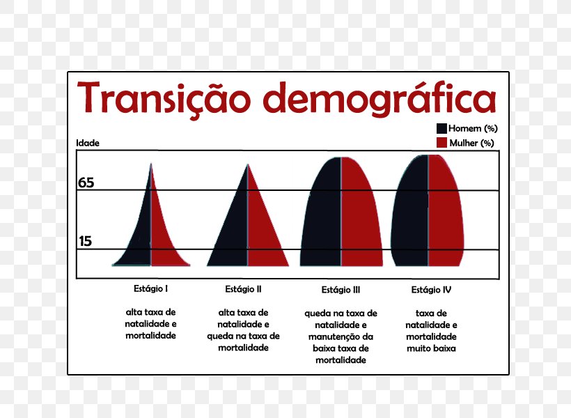 Population Pyramid Demographic Transition Birth Rate Population Geography, PNG, 800x600px, Population Pyramid, Area, Birth Rate, Brand, Demographic Transition Download Free