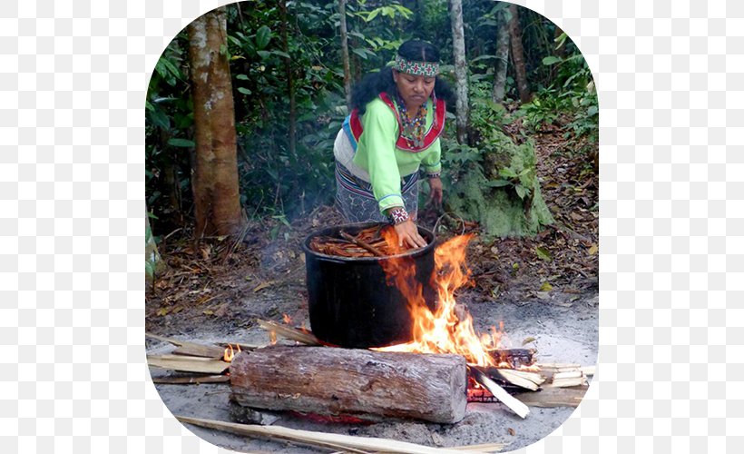 Ayahuasca Caapi Recreational Drug Use Psychotria Viridis Lysergic Acid Diethylamide, PNG, 500x500px, Ayahuasca, Amazon Rainforest, Animal Source Foods, Banisteriopsis, Barbecue Download Free