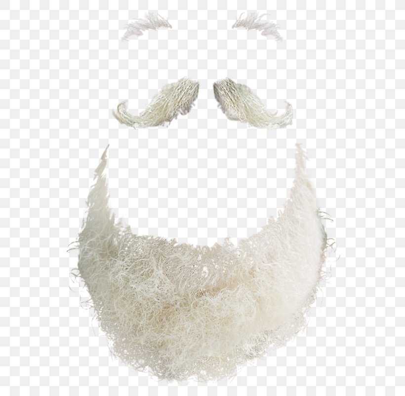 Beard Hair Photography, PNG, 573x800px, Beard, Ded Moroz, Feather, Grandfather, Hair Download Free