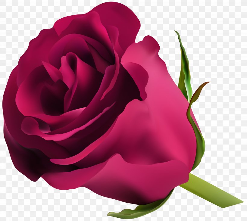 Blue Rose Flower Clip Art, PNG, 8000x7167px, Rose, Blue, Blue Rose, China Rose, Close Up Download Free