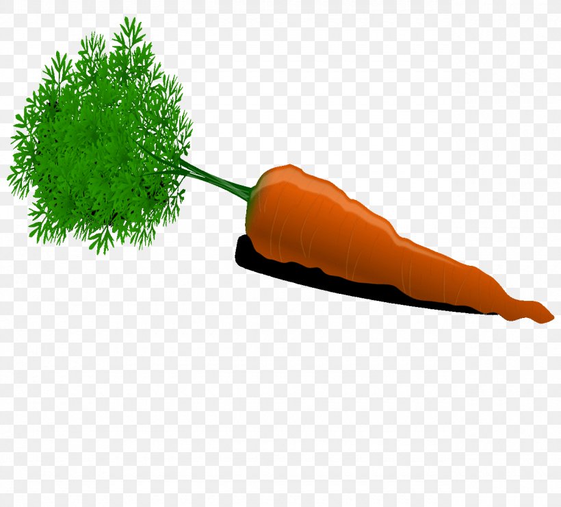 Carrot Auglis Animaatio Clip Art, PNG, 1280x1156px, Carrot, Animaatio, Art, Auglis, Avocado Download Free